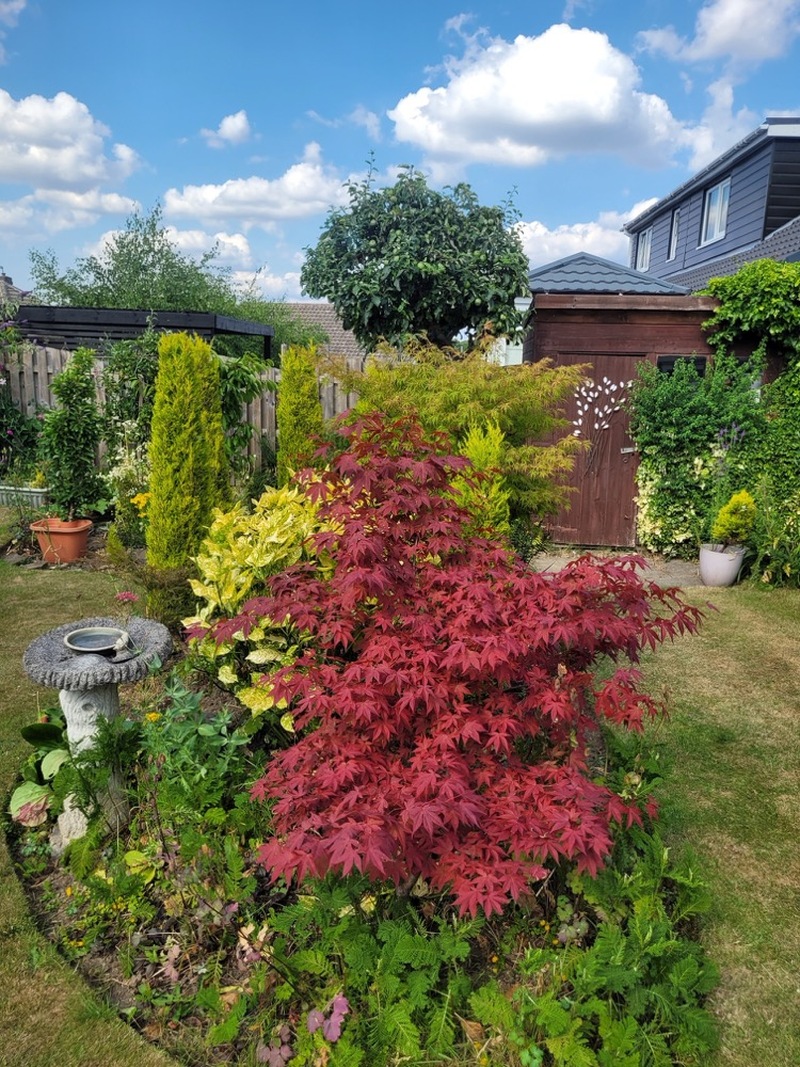 Other image for Barnsley’s best garden: How garden has become couple’s happy place